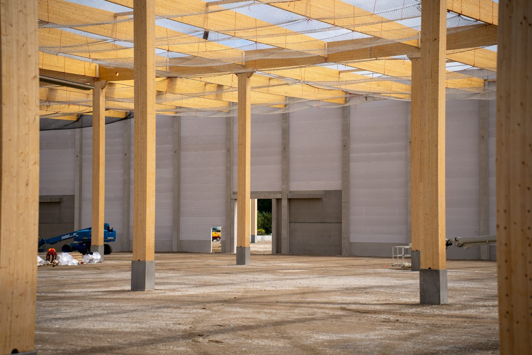 Interior column grid under timber roof